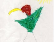 20160430_bib_odemira_guilherme