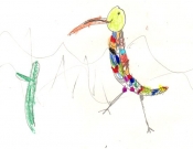 20160430_bib_odemira_lourenco